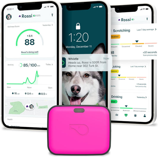 GPS + Health + Fitness - Ultimate Dog GPS Tracker plus Dog Health & Fitness Monitor, Waterproof, Safe Place Escape Alerts, Built-In Night Light,Fits on Dog Collar, GO Explore, Magenta