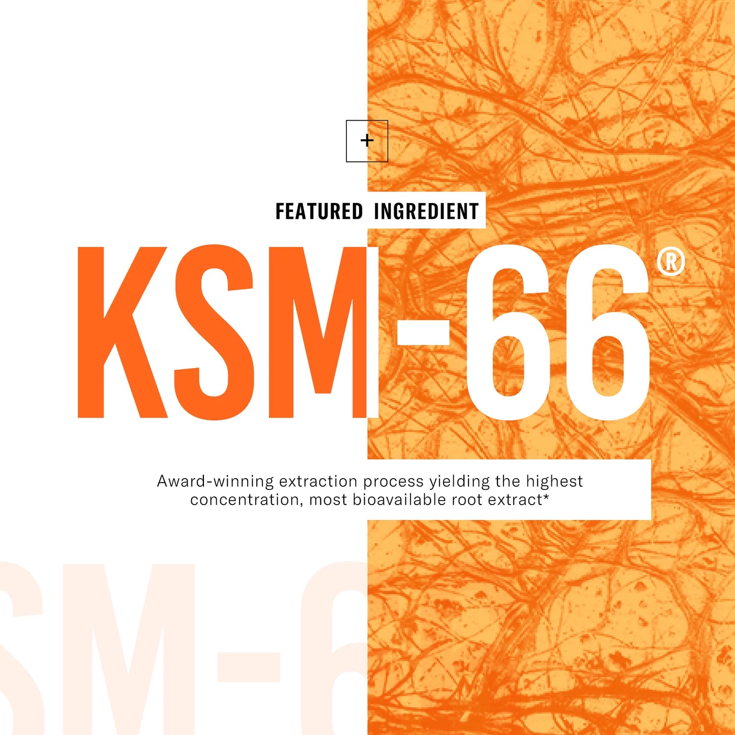 KSM 66 Ashwagandha Capsules, 1000Mg, 60 Ct.