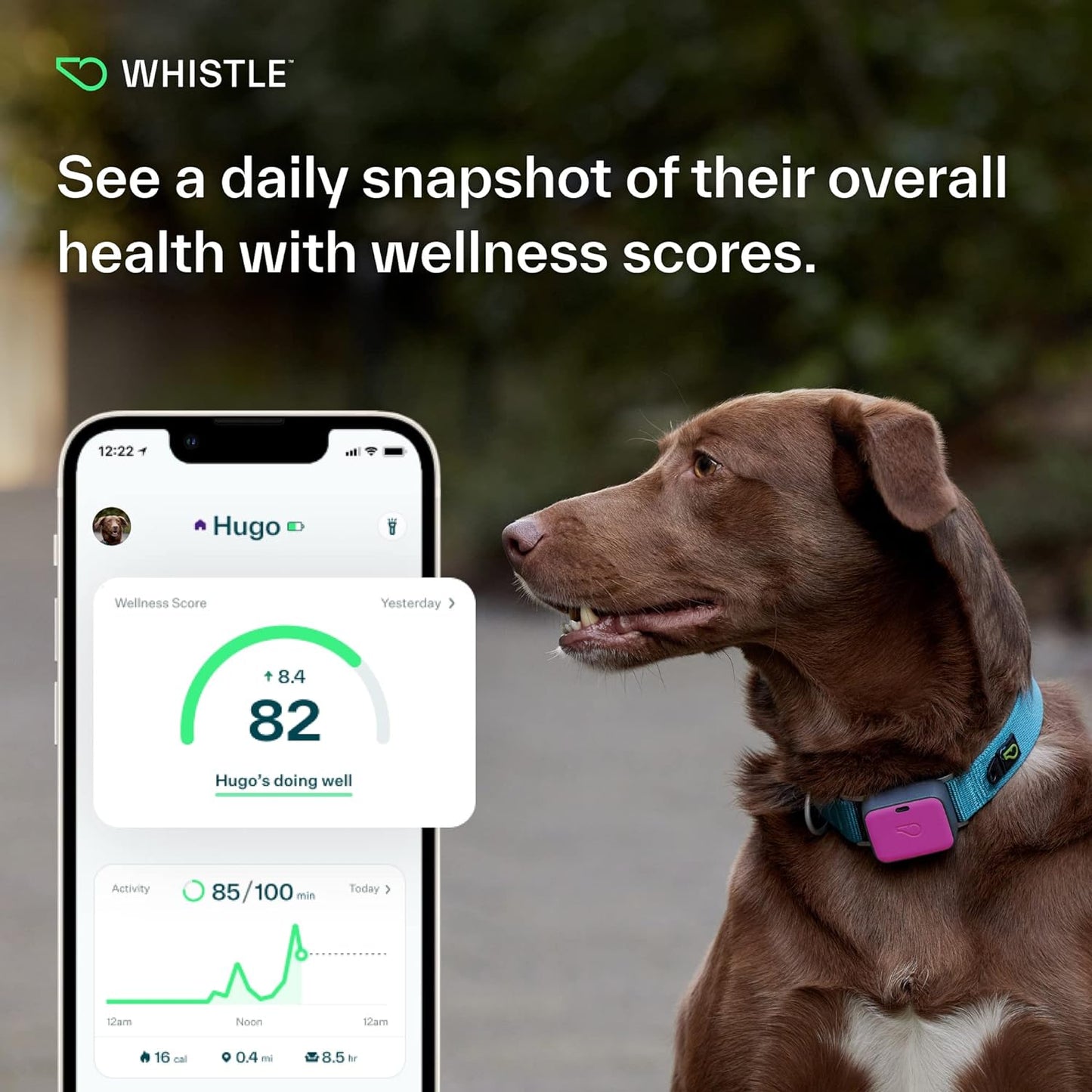 GPS + Health + Fitness - Ultimate Dog GPS Tracker plus Dog Health & Fitness Monitor, Waterproof, Safe Place Escape Alerts, Built-In Night Light,Fits on Dog Collar, GO Explore, Magenta