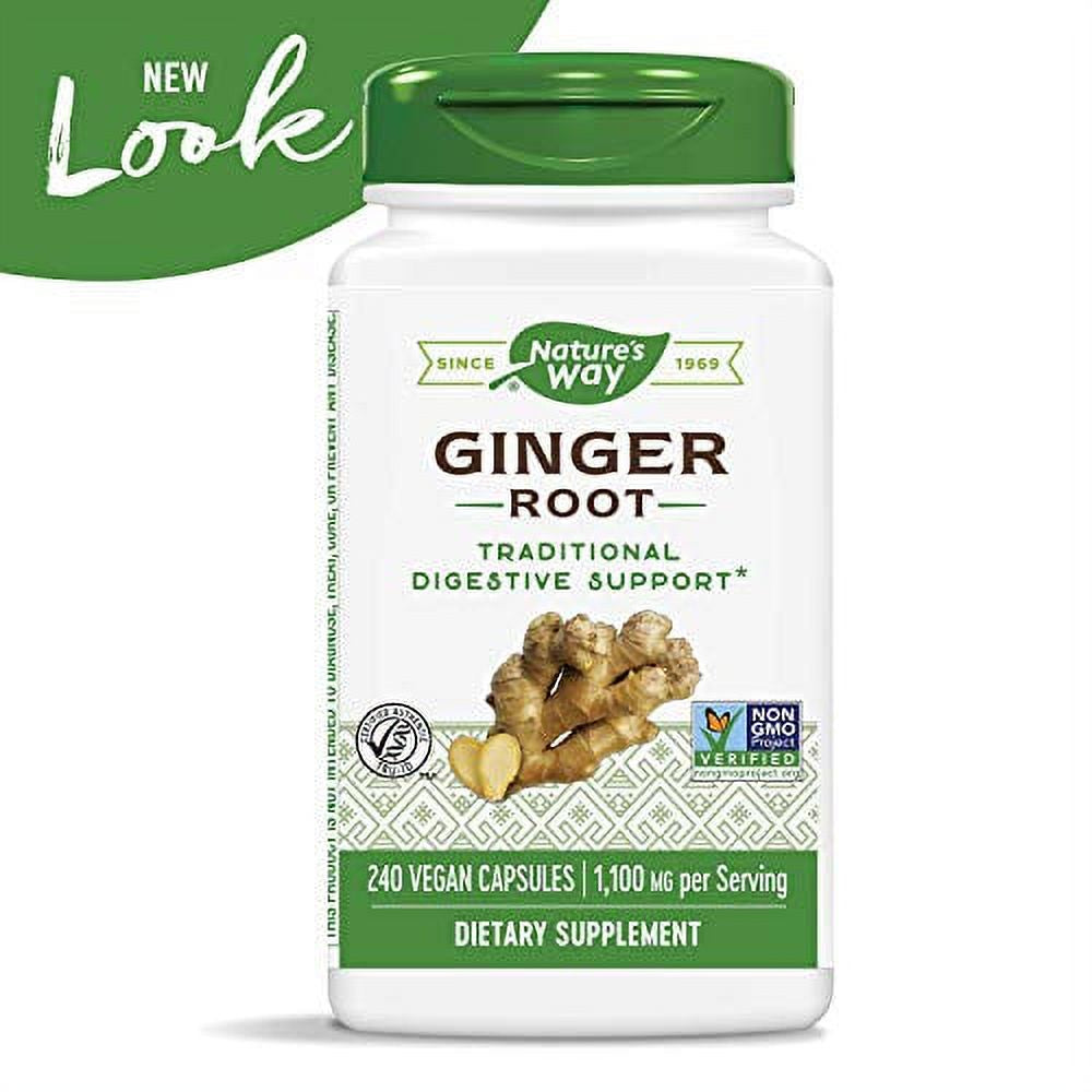 - Ginger Root 1100 Mg. - 240 Vegan Capsules